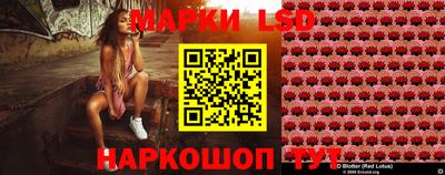 mdpv Владимир