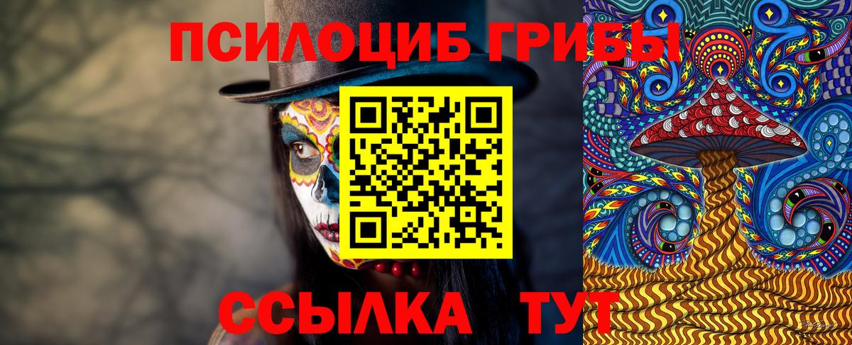 Ессентуки  Псилоцибиновые грибы прущие грибы  Вход с VPN  Псилоцибиновые грибы MAGIC MUSHROOMS 
