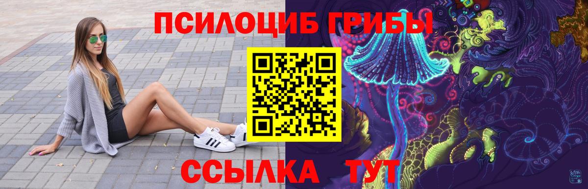 Галлюциногенные грибы мицелий Ессентуки